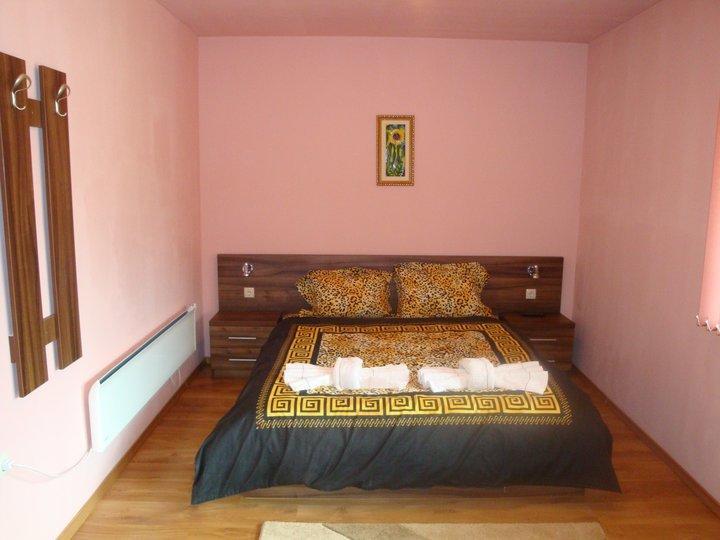 Tzvetelina Palace Hotel Dołna Banja Pokój zdjęcie