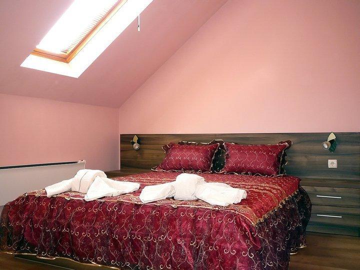 Tzvetelina Palace Hotel Dołna Banja Pokój zdjęcie