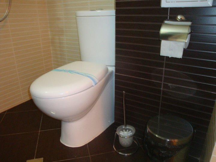 Tzvetelina Palace Hotel Dołna Banja Pokój zdjęcie