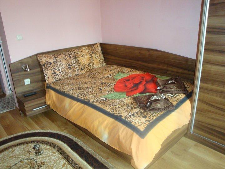 Tzvetelina Palace Hotel Dołna Banja Pokój zdjęcie