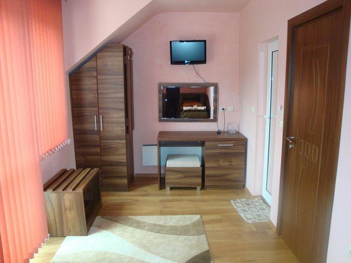 Tzvetelina Palace Hotel Dołna Banja Pokój zdjęcie