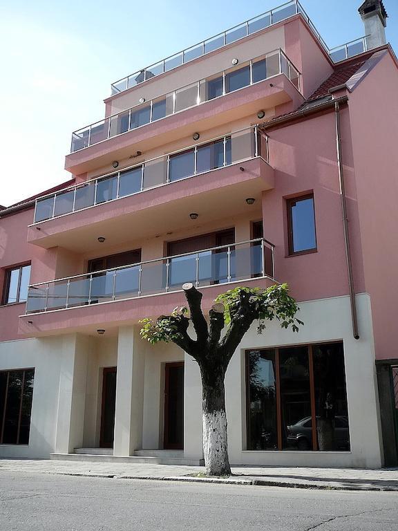 Tzvetelina Palace Hotel Dołna Banja Zewnętrze zdjęcie